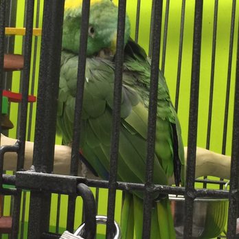Coral Reef Pet Center - Fabulous - Pet Stores Near Me - Norridge, Illinois