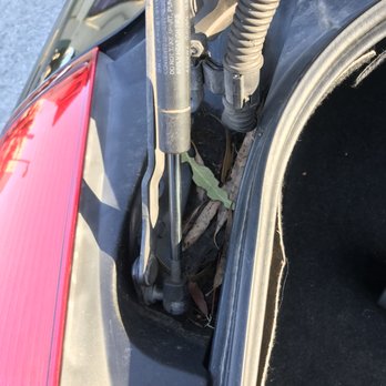 Lombard Auto Body - Car after cleaning. - Body Shops Near Me - San Francisco, California