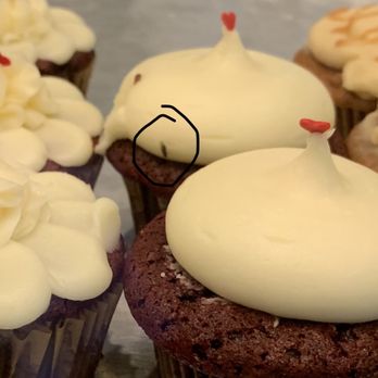 Tout Suite - Cupcake with fly on it - Cafes Near Me - Houston, Texas Tout Suite - Cupcake with fly on it - Cafes Near Me - Houston, Texas
