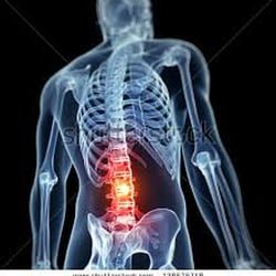Rego Park Healthcare Alliance - Back Pain is a specialty of the Physical Therapists at Rego Park Healthcare Alliance