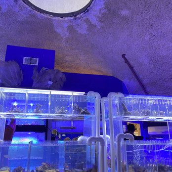 Austin Aqua-Dome - The dome - Pet Stores Near Me - Austin, Texas