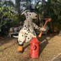 Photo of Fireman Snoopy