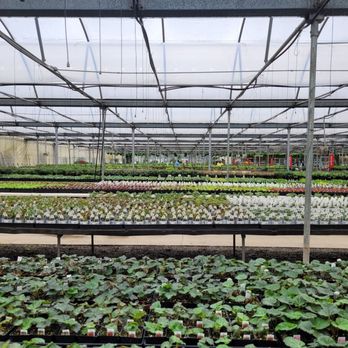 Snohomish Garden Center - The main greenhouse goes on forever - it's huge. - Nurseries & Gardening Near Me - Snohomish, Washington Snohomish Garden Center - The main greenhouse goes on forever - it's huge. - Nurseries & Gardening Near Me - Snohomish, Washington