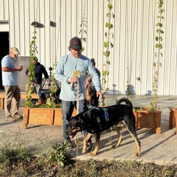 Longmire Springs Brewing - Back patio area where they have fire pit and plenty of seating - Breweries Near Me - Packwood, Washington Longmire Springs Brewing - Back patio area where they have fire pit and plenty of seating - Breweries Near Me - Packwood, Washington