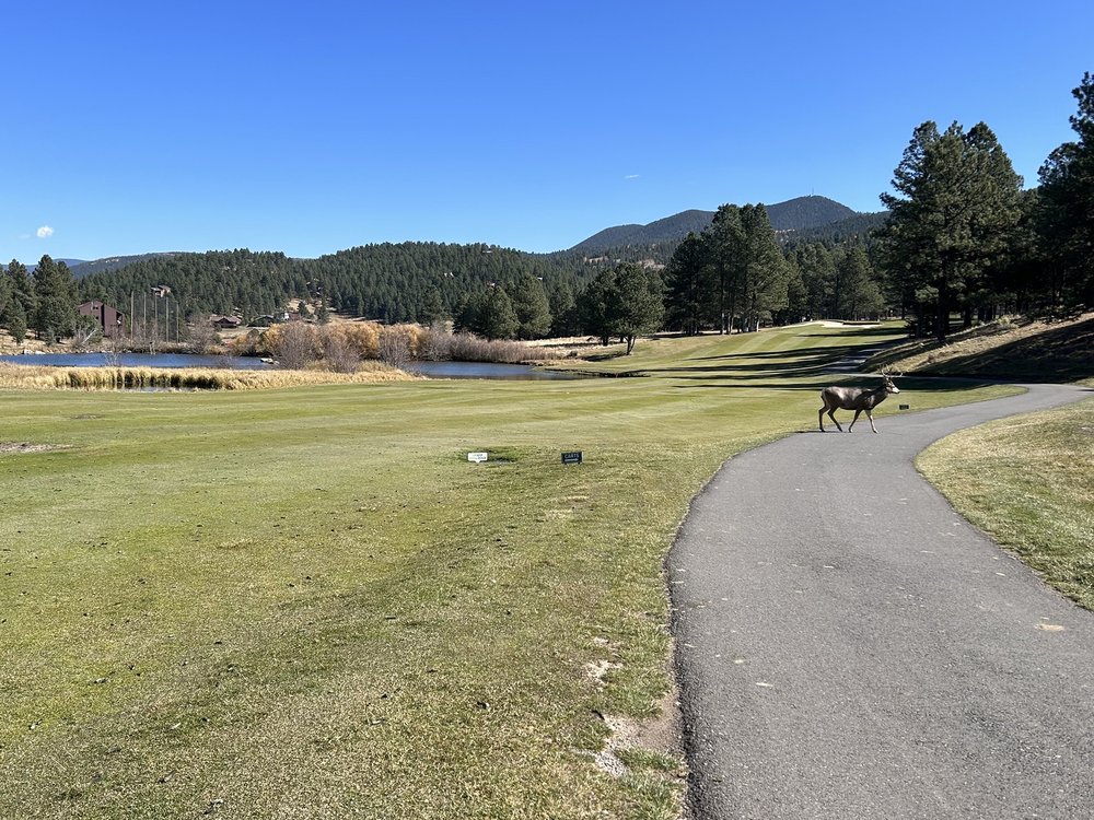Angel Fire Country Club Golf Course Logo