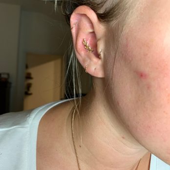 Shaman Modifications Tattoo & Body Piercing - Healing conch by Pineapple - Piercing Near Me - Austin, Texas Shaman Modifications Tattoo & Body Piercing - Healing conch by Pineapple - Piercing Near Me - Austin, Texas