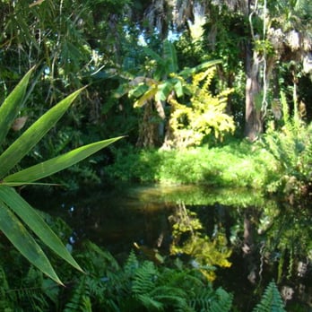 Naples Zoo - i wish i had this pond - Zoos Near Me - Naples, Florida