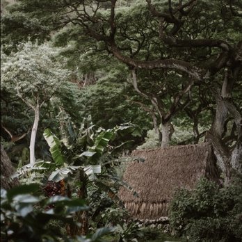 Waimea Valley - huts - Venues & Event Spaces Near Me - Haleiwa, Hawaii Waimea Valley - huts - Venues & Event Spaces Near Me - Haleiwa, Hawaii