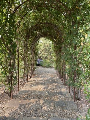 TWOMEY Anderson Valley by null