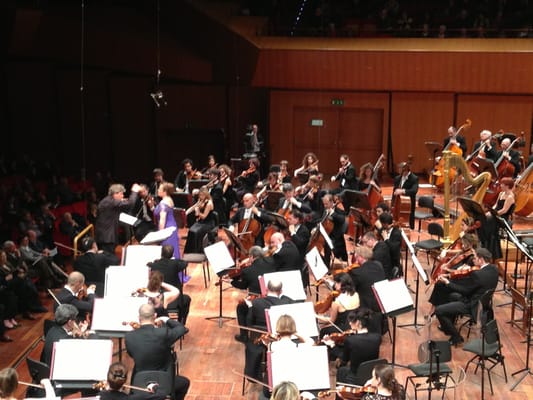 Auditorium Parco della Musica by null