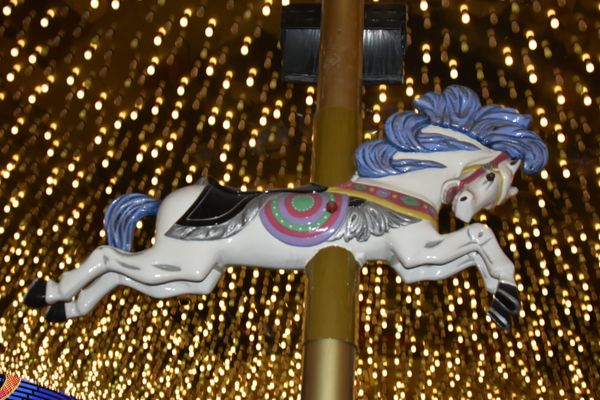 Fremont Street Experience by null