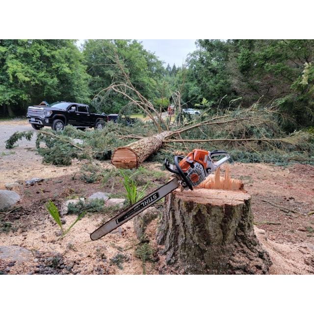 HANK’S TREE SERVICES - Updated September 2025 - Request a Quote - 13 ...