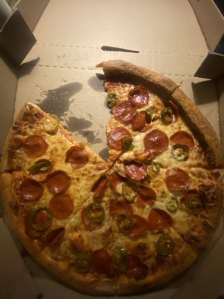 Domino's Pizza Logo
