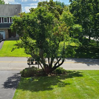 The Davey Tree Expert Company - What a difference a Davey makes! - Tree Services Near Me - Latham, New York The Davey Tree Expert Company - What a difference a Davey makes! - Tree Services Near Me - Latham, New York
