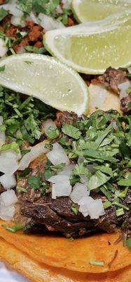 EL Zarape 2 (Jones) by null