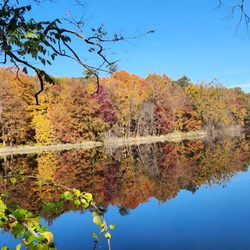 Farmington Canal Heritage Trail - The glory of a New England Autumn