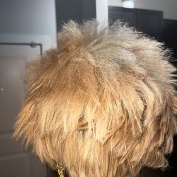 Entourage Hair Gallery - Back view of her cut