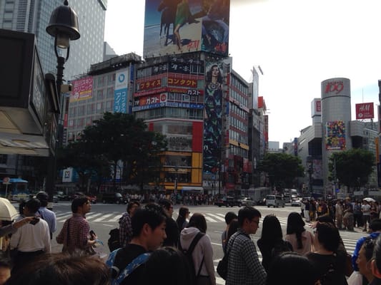 Shibuya Scramble Crossing by null