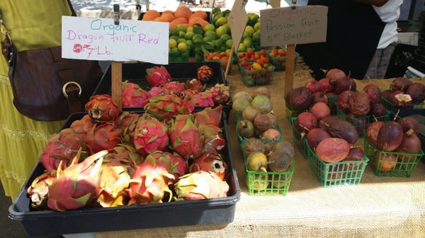 Montrose Farmers Market by null