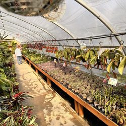 Groovy Plants Ranch