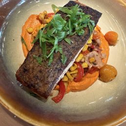 Salmon Salmon