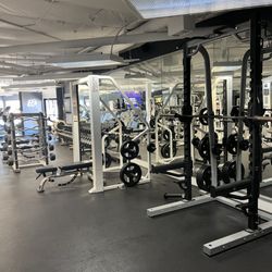 Anytime Fitness - Half squat and smith press