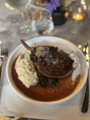 Songbird Parlour by null