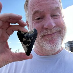 Aristakat Charters - Meg tooth found on last dove.