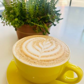 Lavender & Honey - French Lavender Breve - 12 oz. - HOT - Coffee & Tea Near Me - Pasadena, California