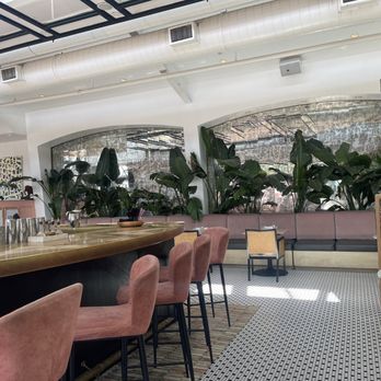 Paradiso - Decor - Bars Near Me - Dallas, Texas