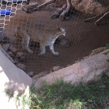 Phoenix Zoo - Zoos Near Me - Phoenix, Arizona