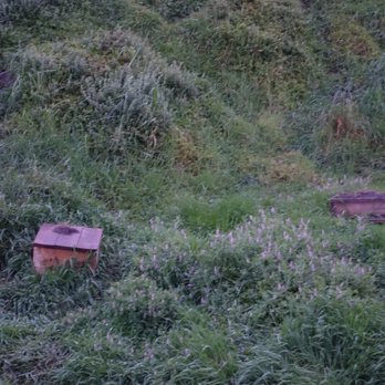 Penguin Parade - Little penguin homes that are made and put around the island so the penguins can find shelter if they did not want the dig their own. - Hotels Near Me - Summerlands, VIC