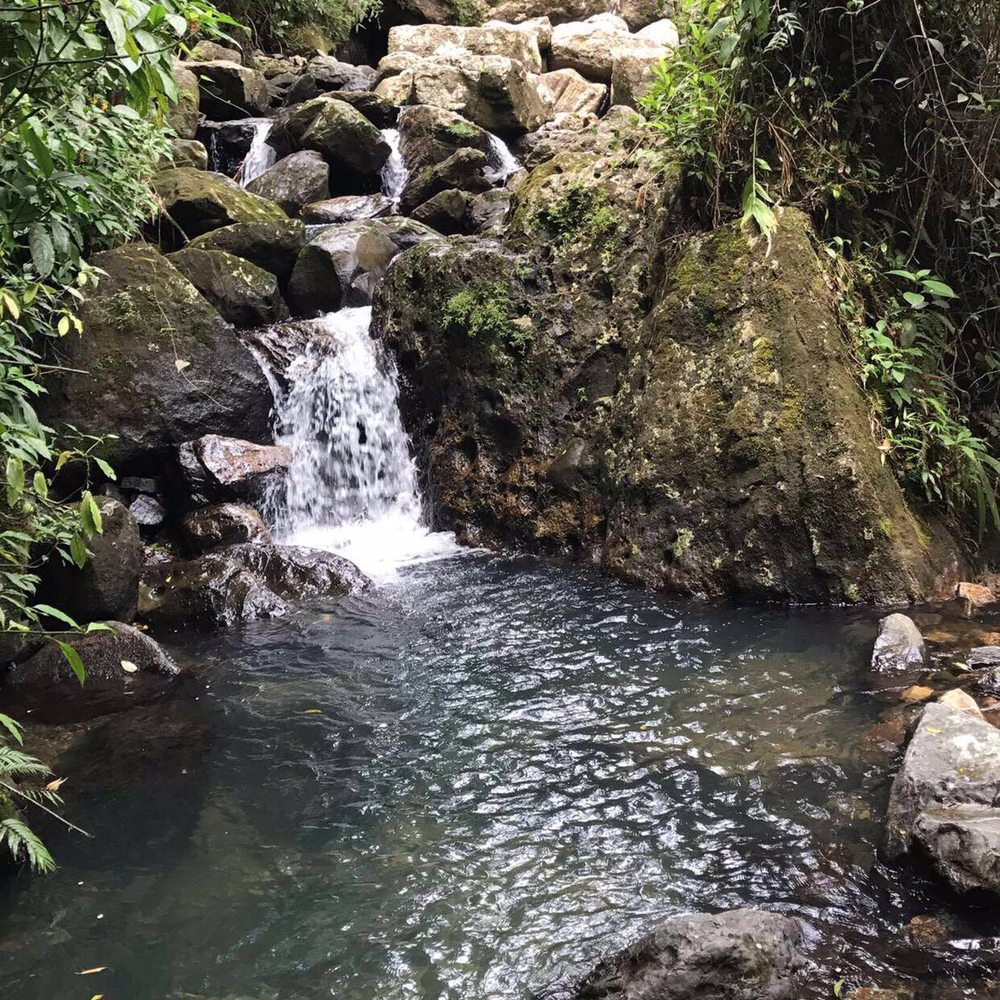 PR Fun Tours - Waterfall - Tours Near Me - San Juan, Puerto Rico PR Fun Tours - Waterfall - Tours Near Me - San Juan, Puerto Rico