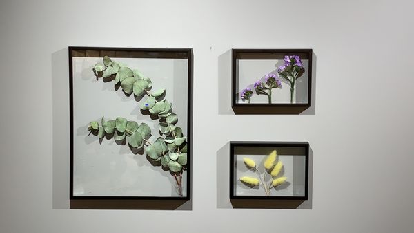 Cafe Terrace/shindangdong(신당동왕김밥) Kimbap roll by null