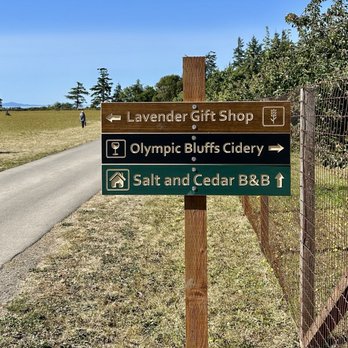 Olympic Bluffs Cidery & Lavender Farm - Sign - Attraction Farms Near Me - Port Angeles, Washington Olympic Bluffs Cidery & Lavender Farm - Sign - Attraction Farms Near Me - Port Angeles, Washington
