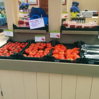 Sun Harvest Greenhouses - Tomatoes - Nurseries & Gardening Near Me - Kingston, Ontario Sun Harvest Greenhouses - Tomatoes - Nurseries & Gardening Near Me - Kingston, Ontario
