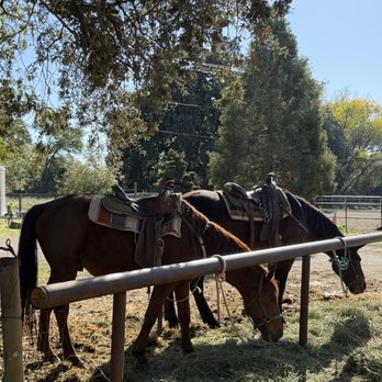 Shadow Glen Family Stables - Horses!! - Horseback Riding Near Me - Fair Oaks, California