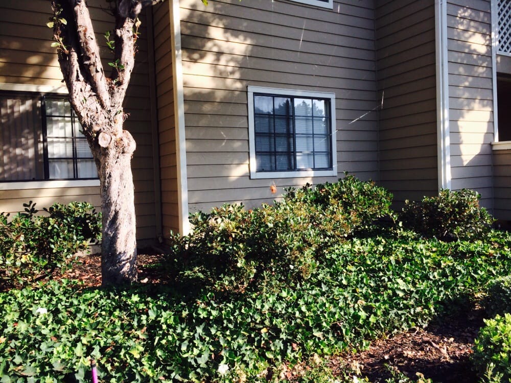 AMBERWOOD APARTMENTS Updated September 2024 11 Reviews 1543 Ambergrove Dr, San Jose