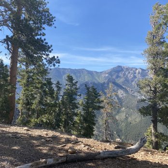Mt. Charleston - Nice lookout 3 miles up - Hiking Near Me - Las Vegas, Nevada Mt. Charleston - Nice lookout 3 miles up - Hiking Near Me - Las Vegas, Nevada