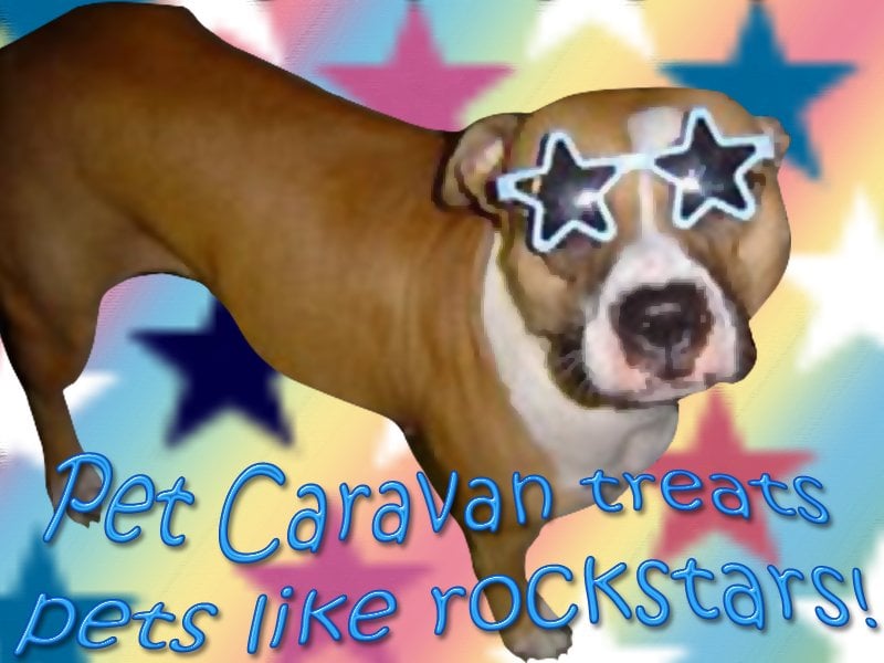 Pet Caravan Image