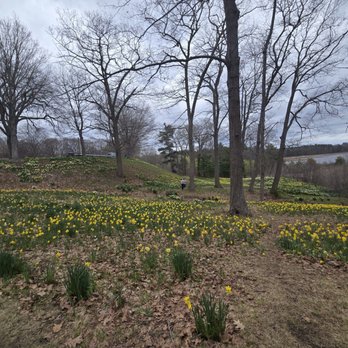 Laurel Hill Cemetery Assoc - Funeral Services & Cemeteries Near Me - Saco, Maine