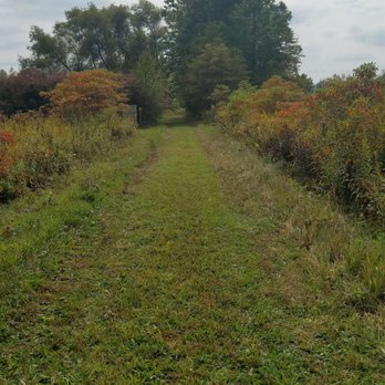 Jeptha Lake Fen - Hiking Near Me - Grand Junction, Michigan