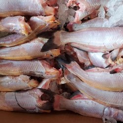 Giggling Porpoise Seafood Market