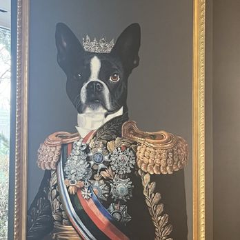 The Royal Sonesta Boston - A portrait of a regal pup - Hotels Near Me - Cambridge, Massachusetts The Royal Sonesta Boston - A portrait of a regal pup - Hotels Near Me - Cambridge, Massachusetts