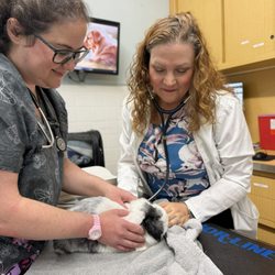 Massapequa Hospital for Animals, A Thrive Pet Healthcare Partner