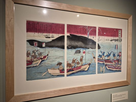 New Bedford Whaling Museum by null