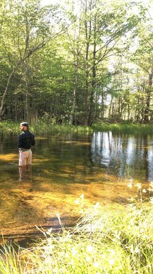 Interlochen State Park by null