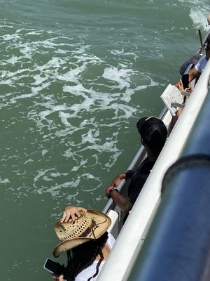 The Original Dolphin Watch by null