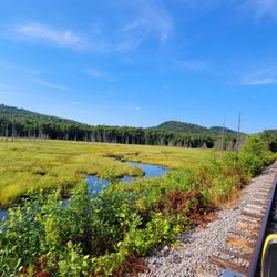 Adirondack Scenic Railroad