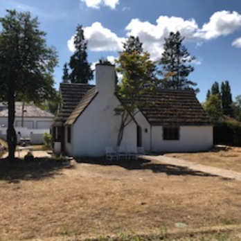 Luisiana Tree Services - Tree Services Near Me - Shelton, Washington